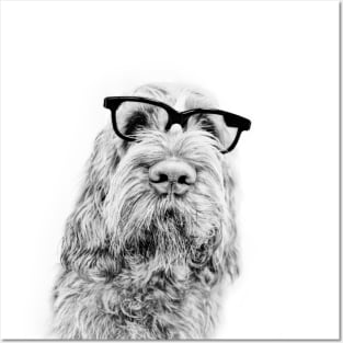 Intelligent friend Spinone by heidiannemorris Posters and Art